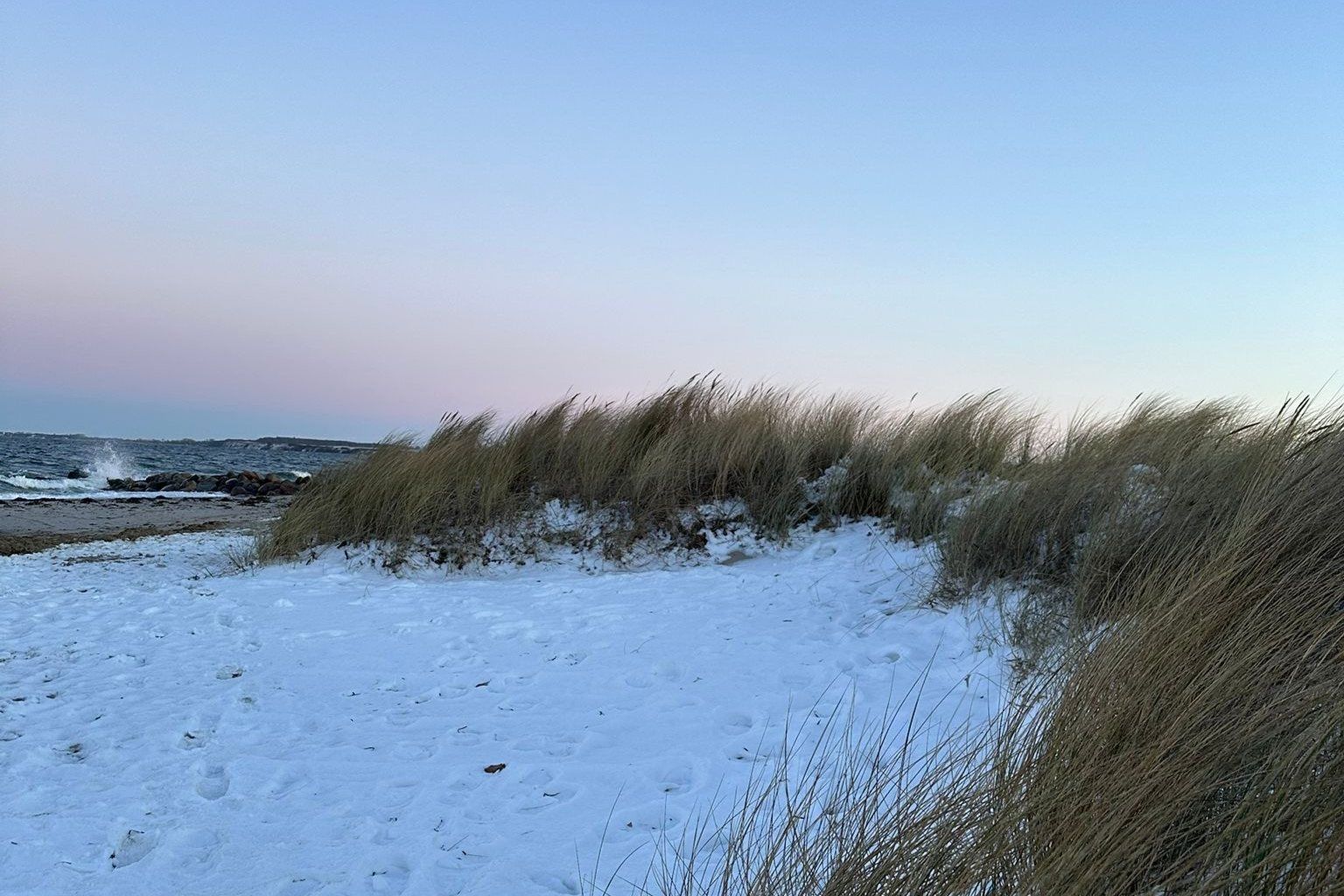 Verschneiter Ostseestrand mit Dünengras in Hohwacht