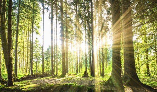 Mevrouw ADRIANA HUYGHELIER