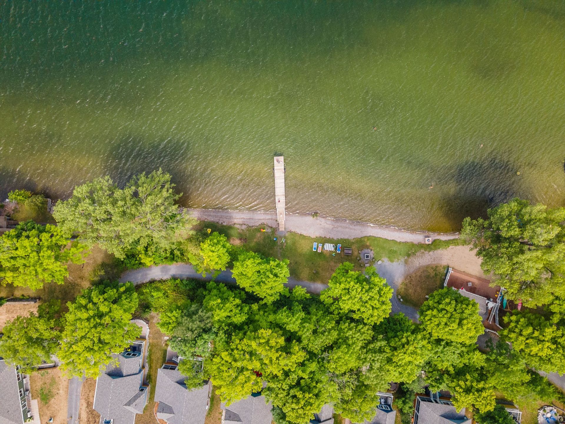 An aerial view of a lake surrounded by trees and houses.