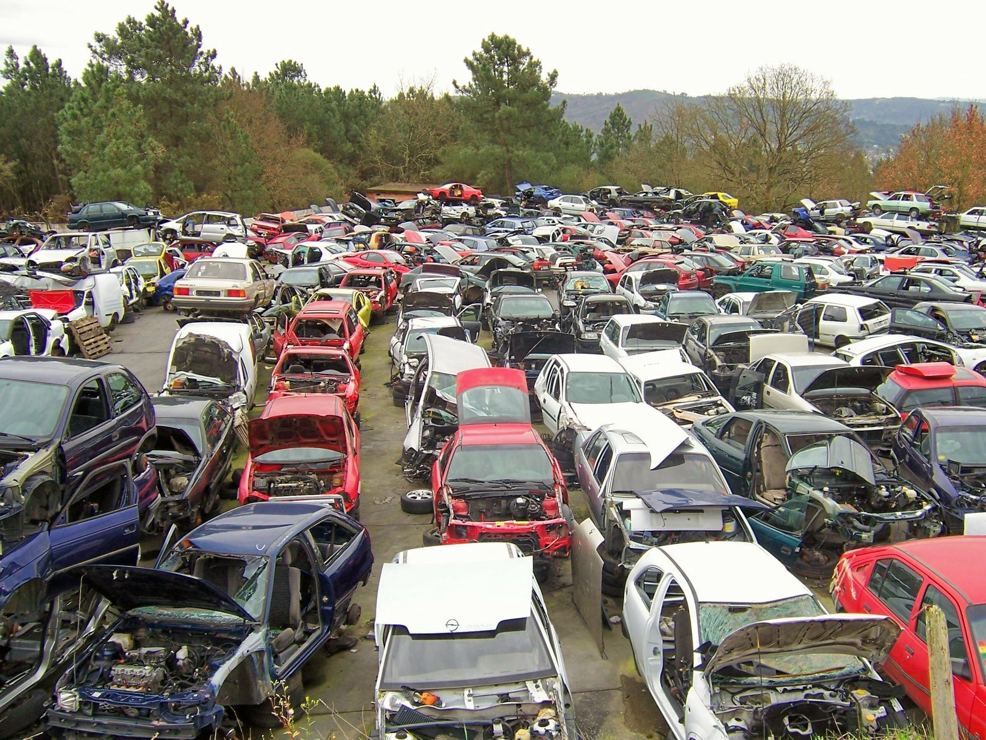 Plusieurs épaves de voitures