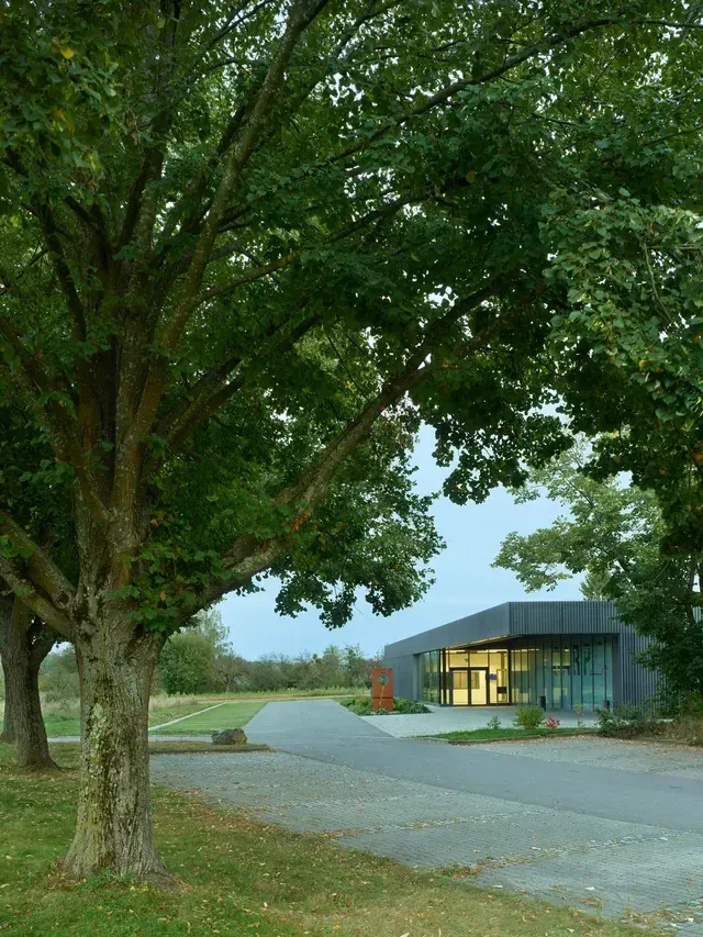 Ein Baum vor einem Gebäude mit vielen Fenstern vom Bildungszentrum GARP Nürtingen