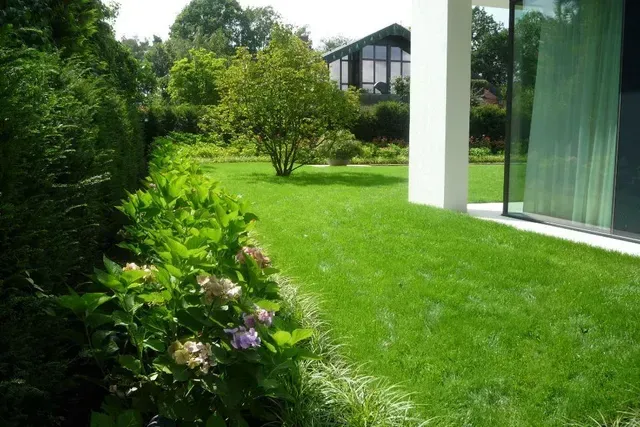 Ein üppiger grüner Rasen mit einem weißen Gebäude im Hintergrund vom Hausgarten in Erlangen