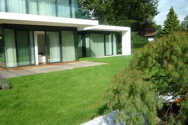 Eine Topfpflanze steht neben einem Teich in einem Garten im Hausgarten in Erlangen