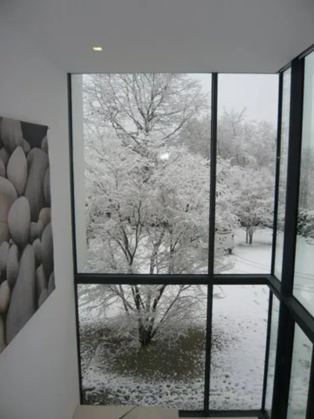 Ein Baum mit Schnee darauf vom Hausgarten in Erlangen