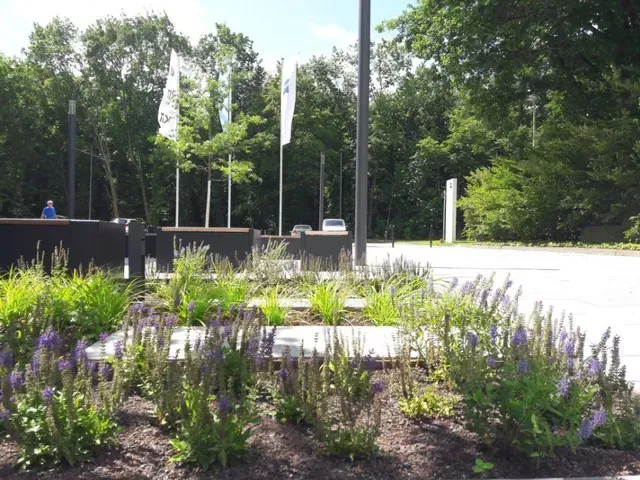 Ein Blumenstrauß in einem Garten mit Bäumen im Hintergrund im Zeiss Innovation Hub @ KIT Karlsruher Institut für Technologie Campus Nord