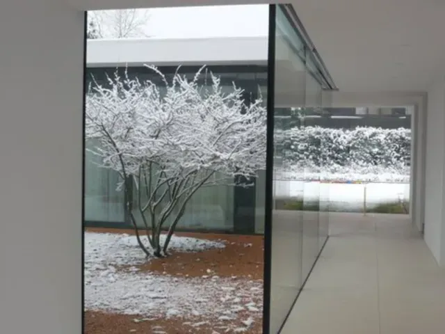 Ein Baum mit Schnee darauf vom Hausgarten in Erlangen