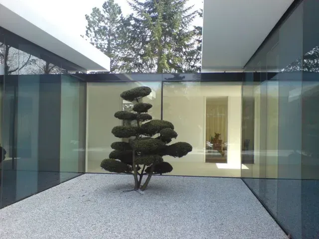 Ein Baum steht mitten in einem Raum mit vielen Fenstern vom Hausgarten in Erlangen