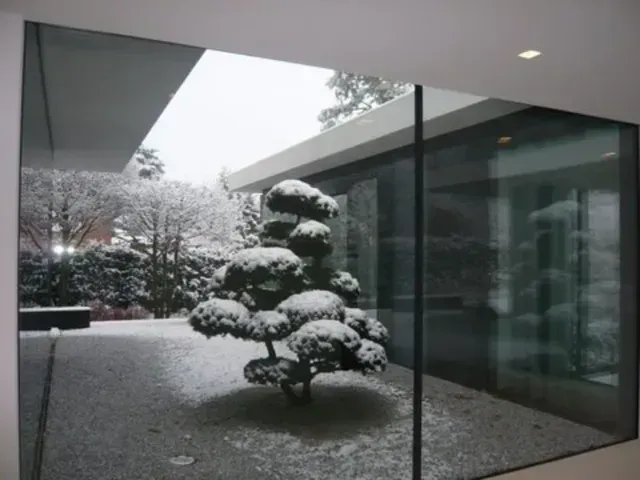 Ein Baum steht mitten in einem Raum mit vielen Fenstern vom Hausgarten in Erlangen