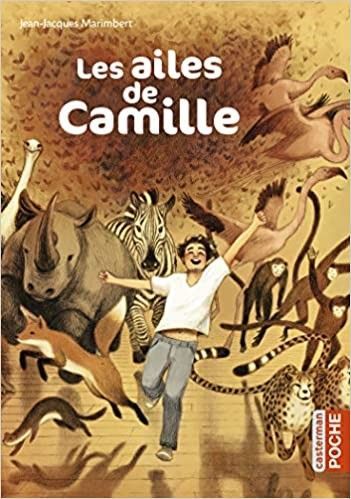 Couverture du livre Les ailes de Camille représentant un enfant courant devant un bâtiment scolaire pendant un orage.