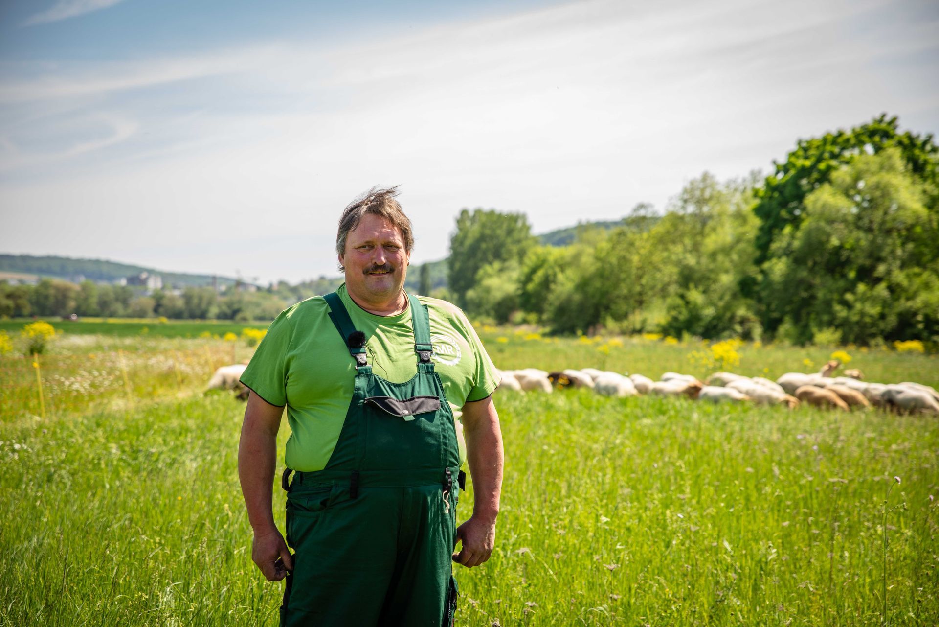Ein Hirte im grünen Overall steht auf einer Wiese, im Hintergrund ist eine Schafherde zu sehen.