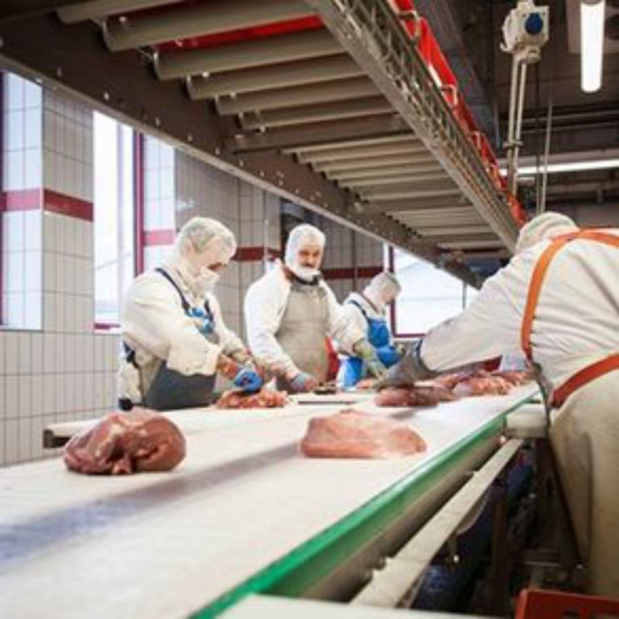 Fleischverarbeitung