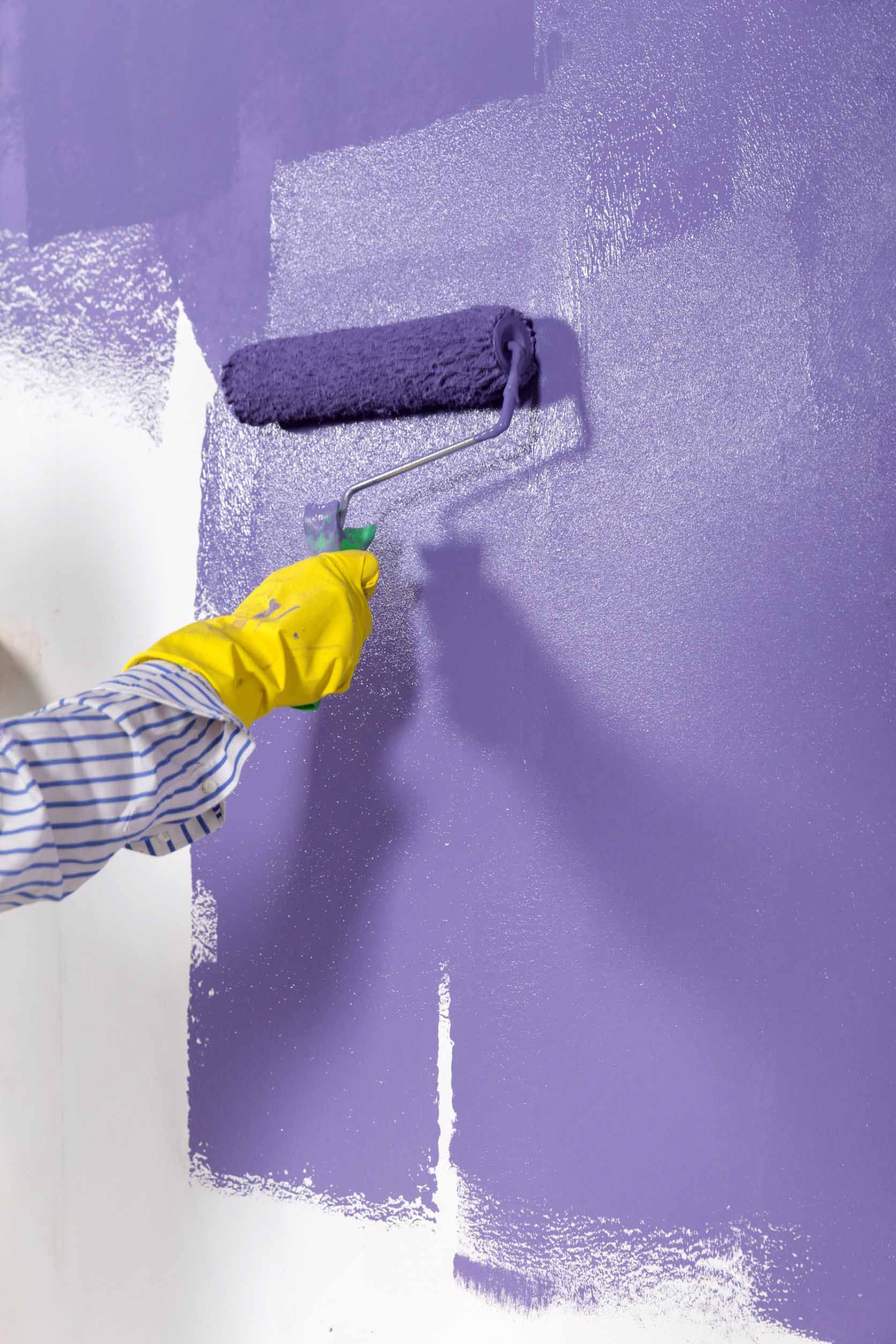 Persona que lleva guantes amarillos pintando una pared blanca de color morado con un rodillo.