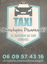 Logo Taxi Pisaneschi