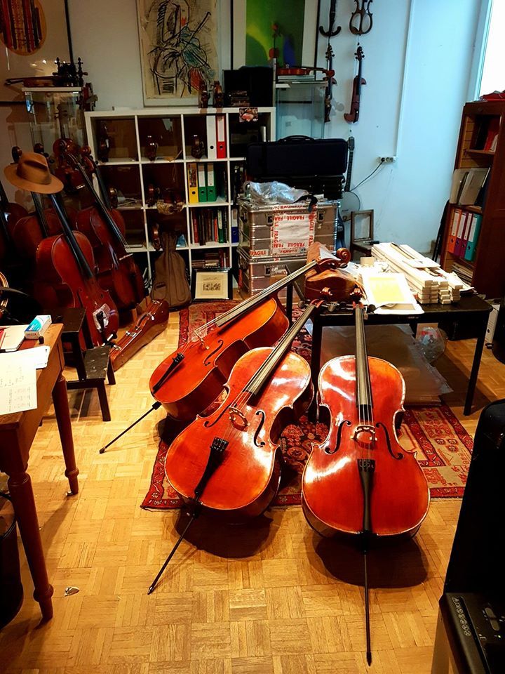 Violoncelles