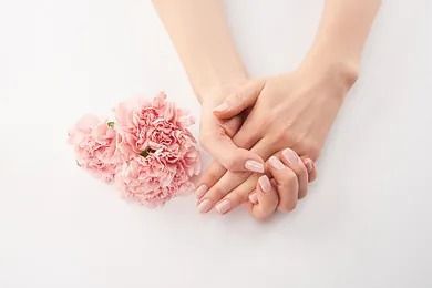 Las manos de una mujer sostienen claveles rosados sobre un fondo blanco.