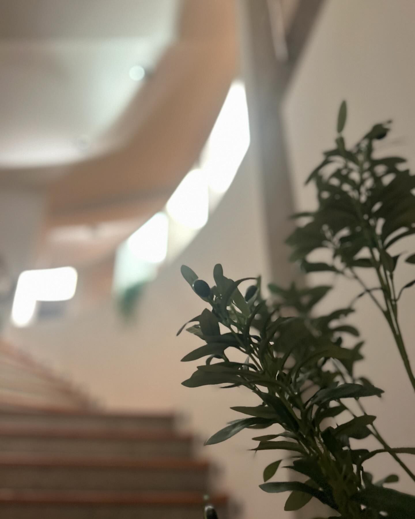 Una imagen borrosa de una escalera con una planta en primer plano.