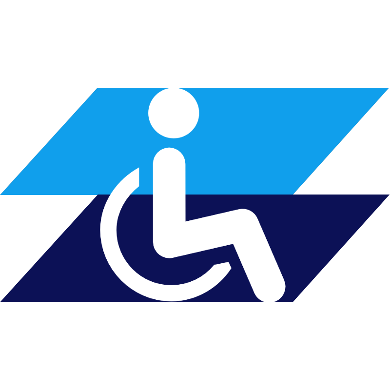 Véhicule pour handicapé