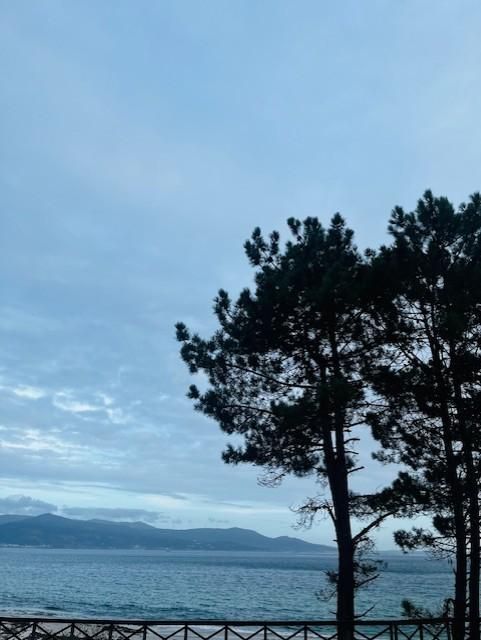 Los árboles silueteados enmarcan una vista del océano y las montañas bajo un cielo nublado.