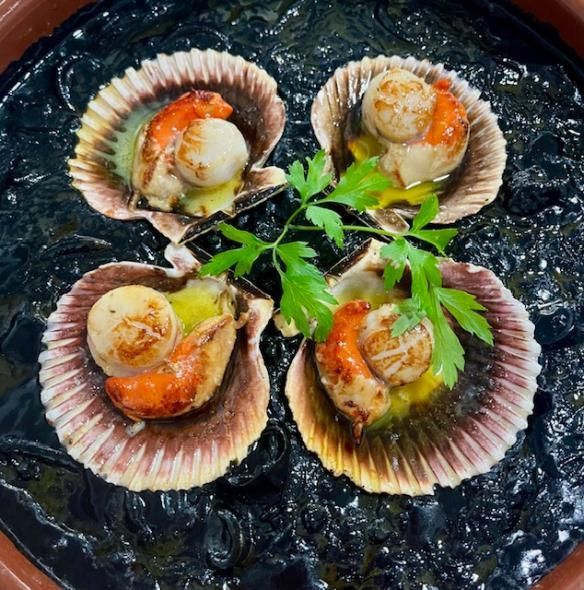 Vieiras selladas en sus conchas sobre salsa negra, adornadas con perejil.