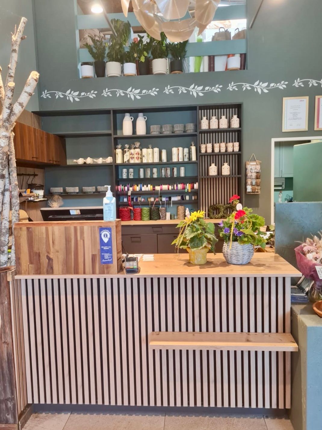 Eine hölzerne Bedientheke mit Lamellenfront, Topfpflanzen und Regalen voller Flaschen vor einer salbeigrünen Ladenwand.