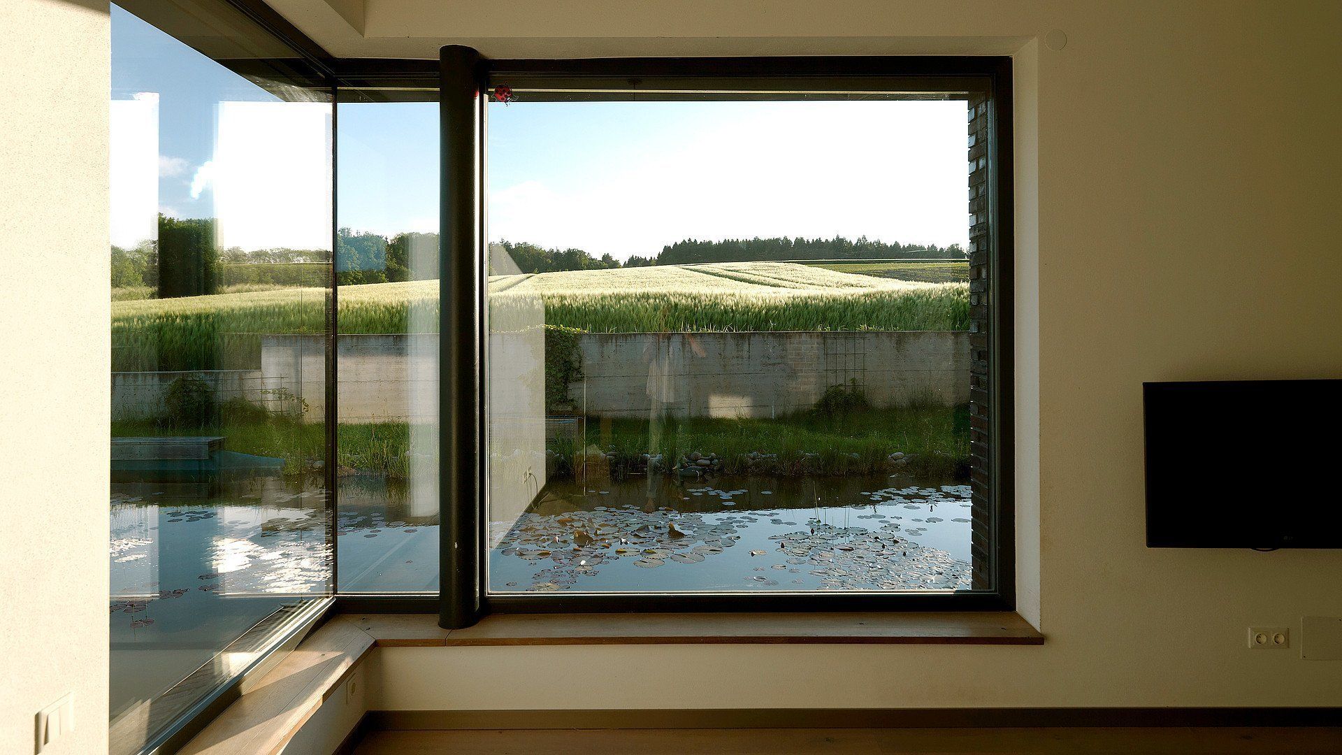 Ein großes Fenster mit Blick auf einen Teich und Felder in einem modernen Zimmer mit an der Wand montiertem Fernseher.