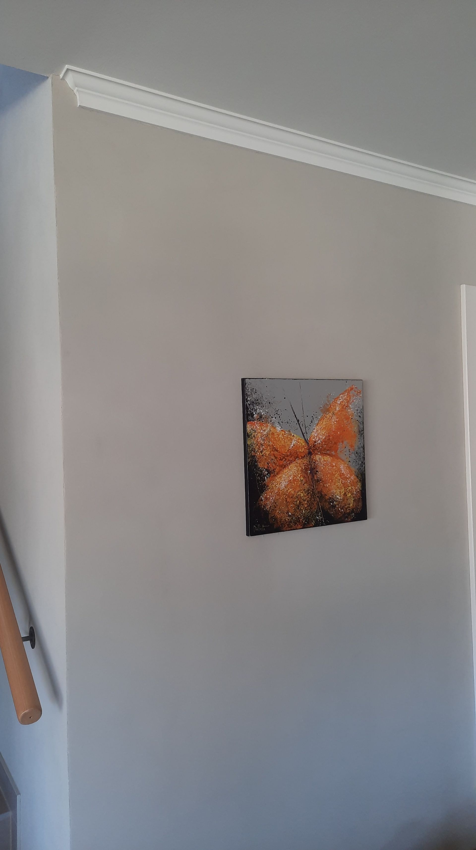 peinture et pose de corniches - Pascal Dubugnon entreprise de peinture