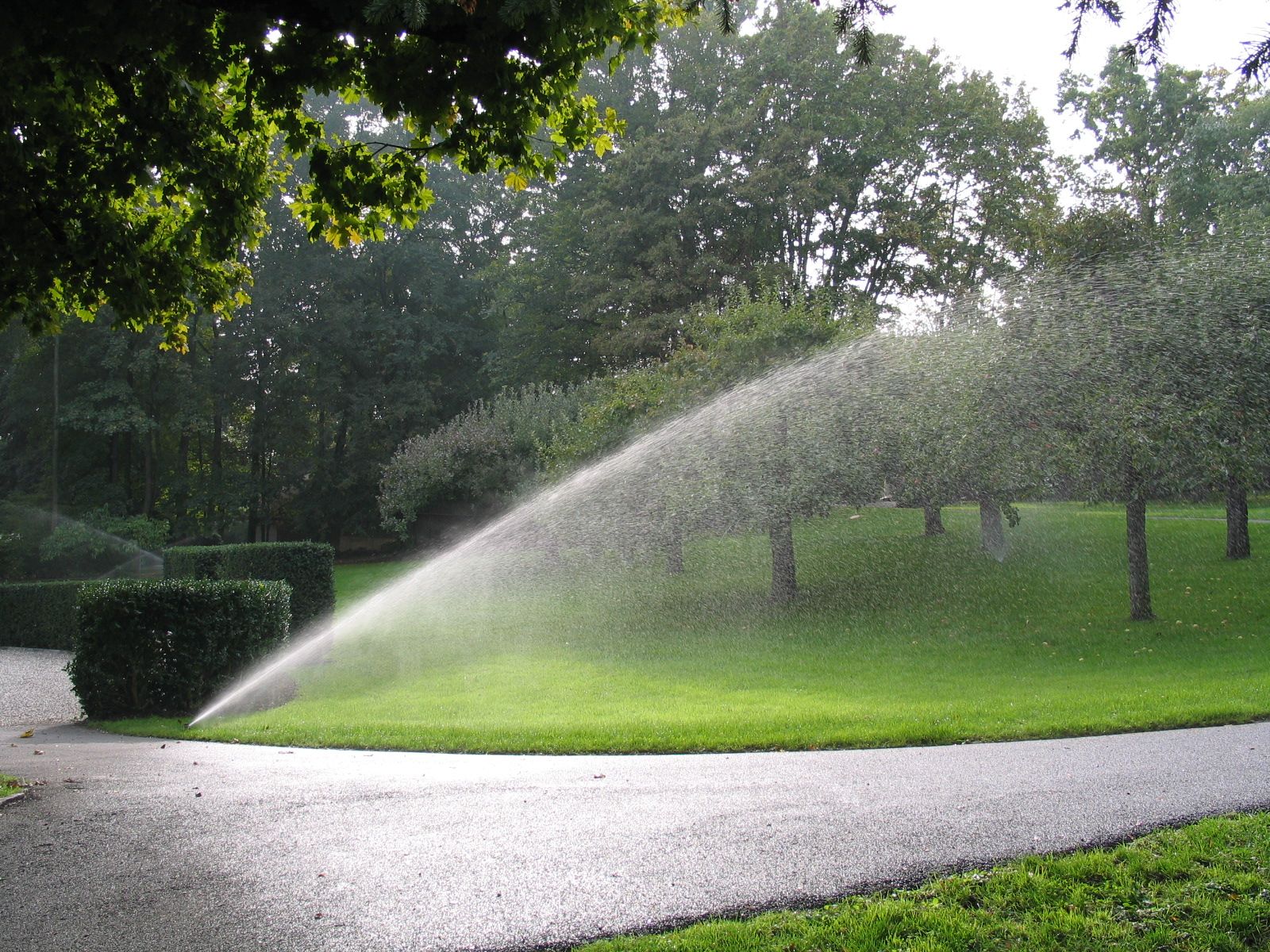 Arrosage de pelouse - Aqua-Z SA