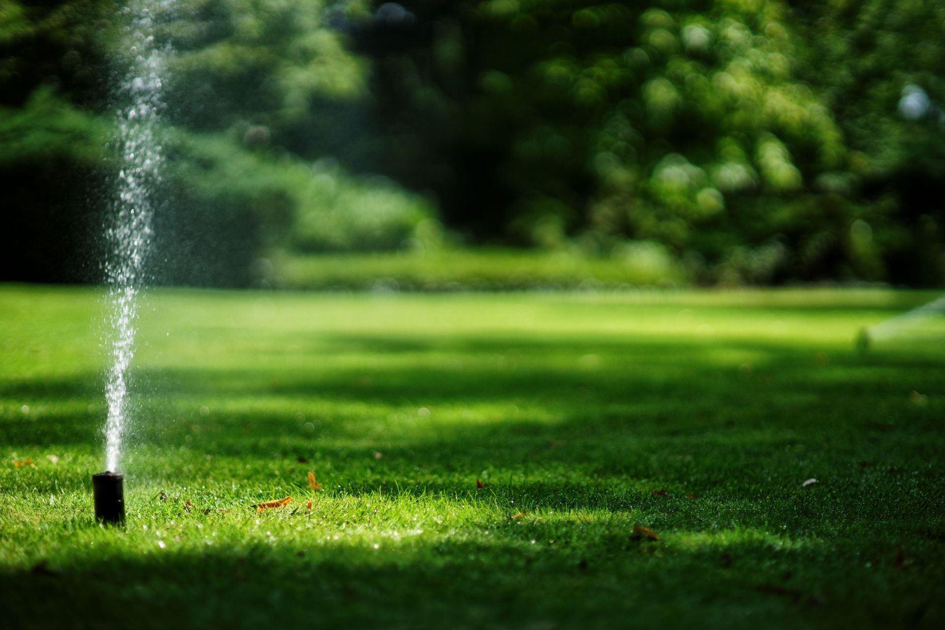 Arrosage de pelouse - Aqua-Z SA