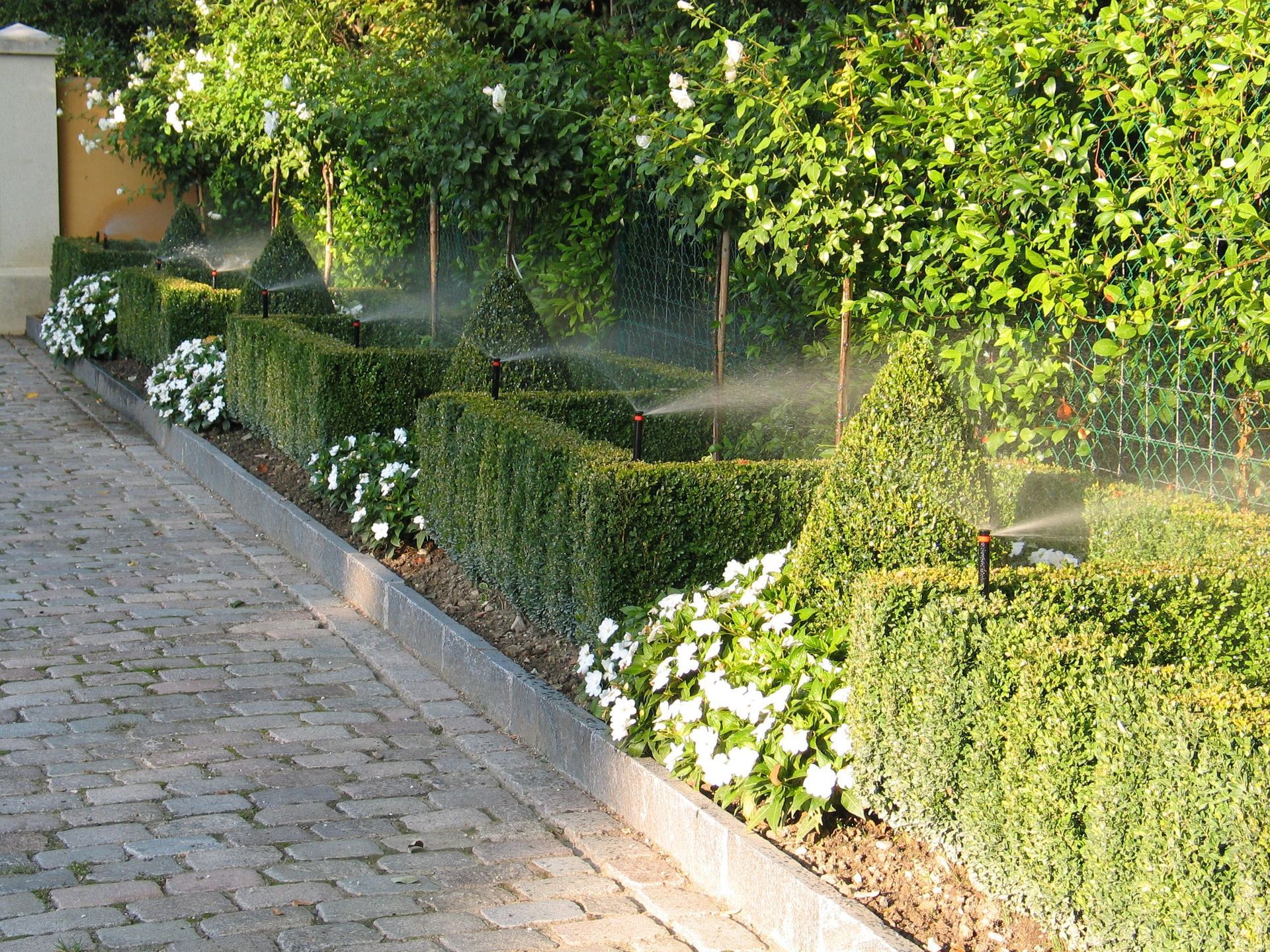 Arrosage de haies - Aqua-Z SA