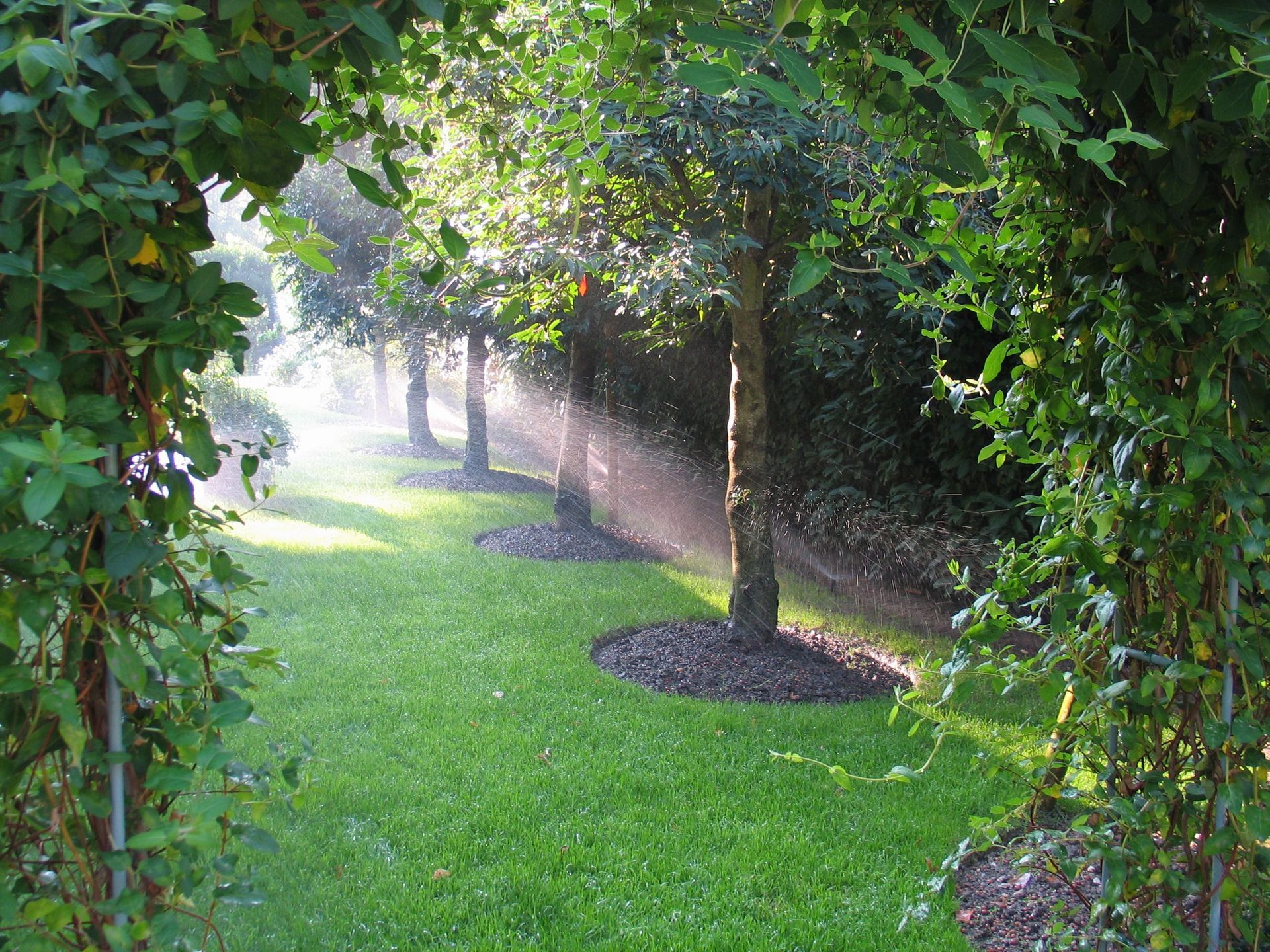 Arrosage d'arbres fruitiers - Aqua-Z SA