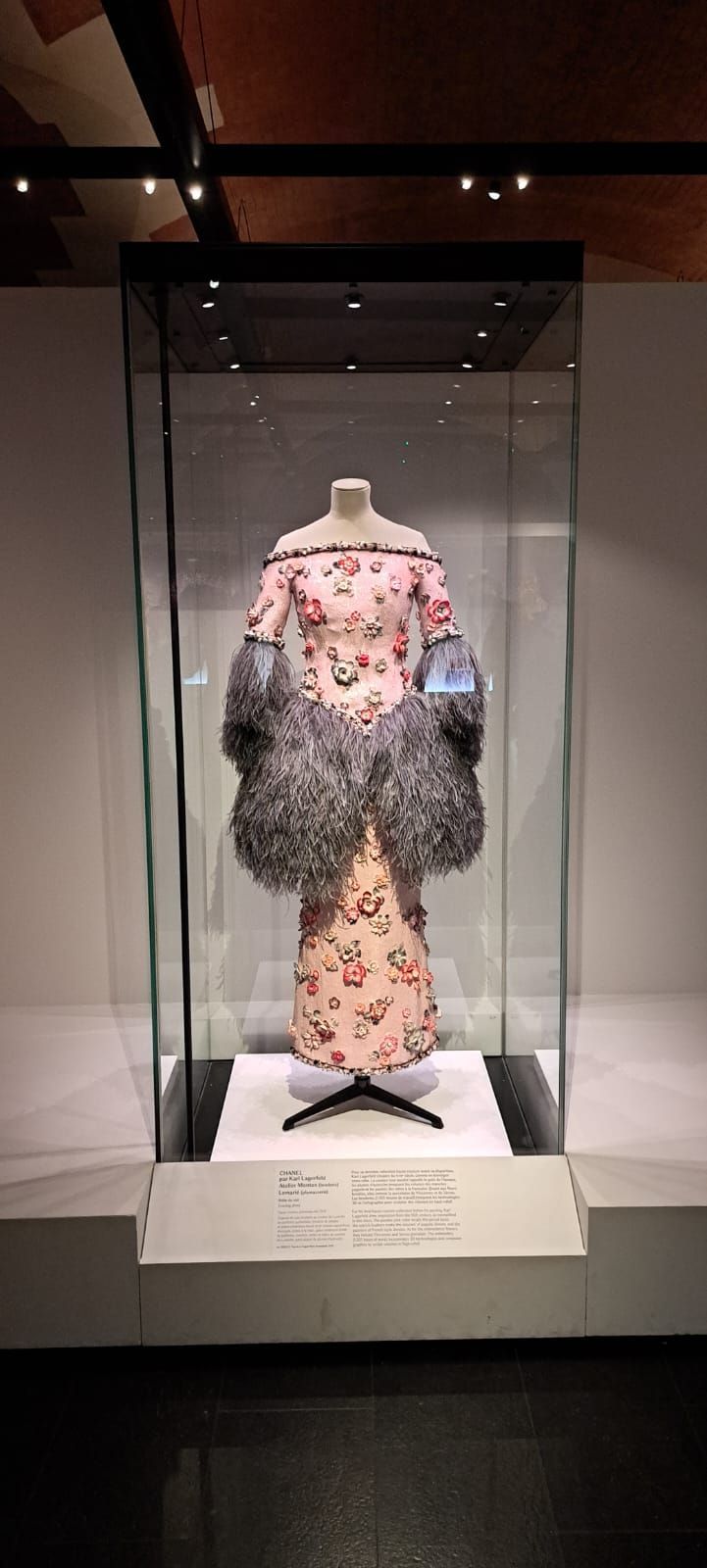 Une robe rose à motifs floraux, avec des manches sombres et duveteuses, dans une vitrine de musée