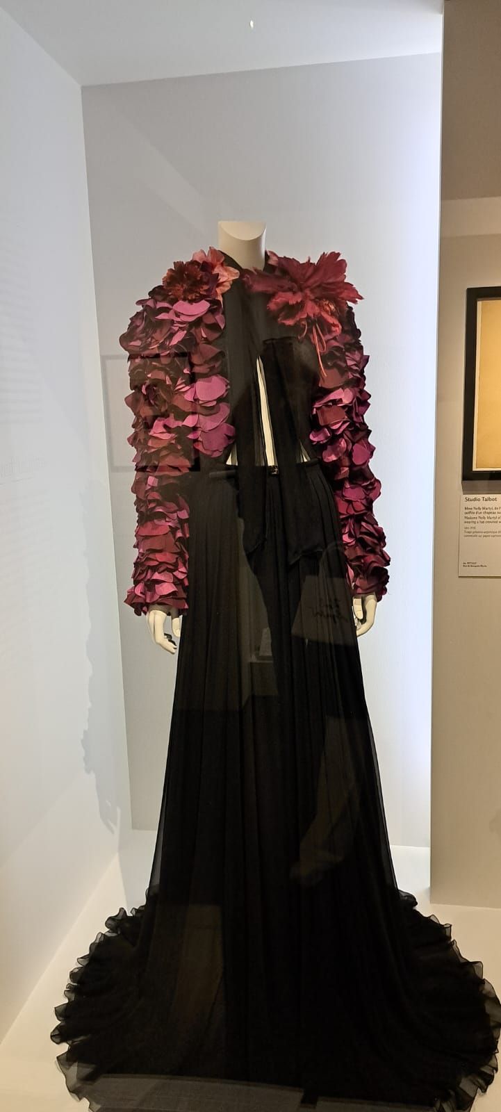 Une robe noire longue jusqu'au sol, avec de longues manches ornées de broderies texturées rouge foncé en forme de pétales