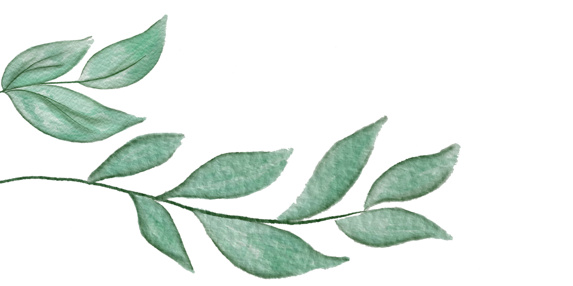 Hojas de acuarela verdes en una rama, inclinadas hacia la parte superior derecha.