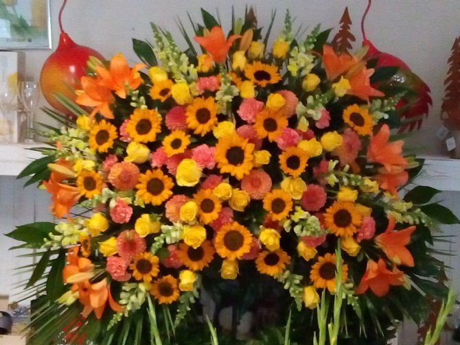 Blumen Ammann