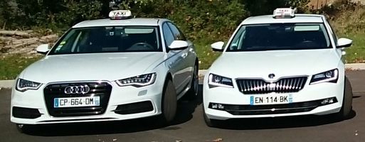 Deux taxis blancs sont garés côte à côte sur une surface asphaltée. Chacun possède un gyrophare.