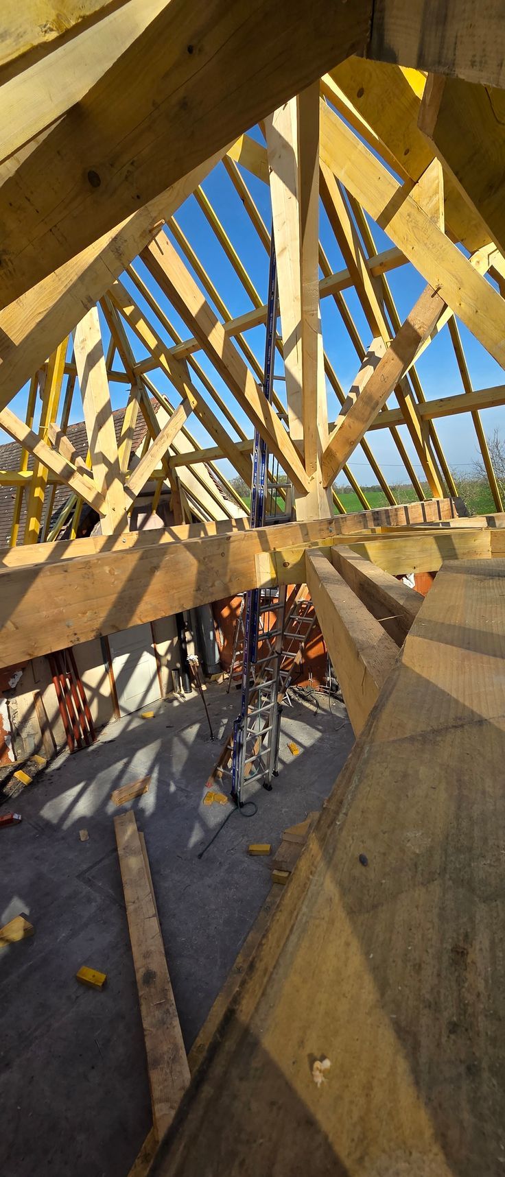 Une charpente vue d'en-dessous.
