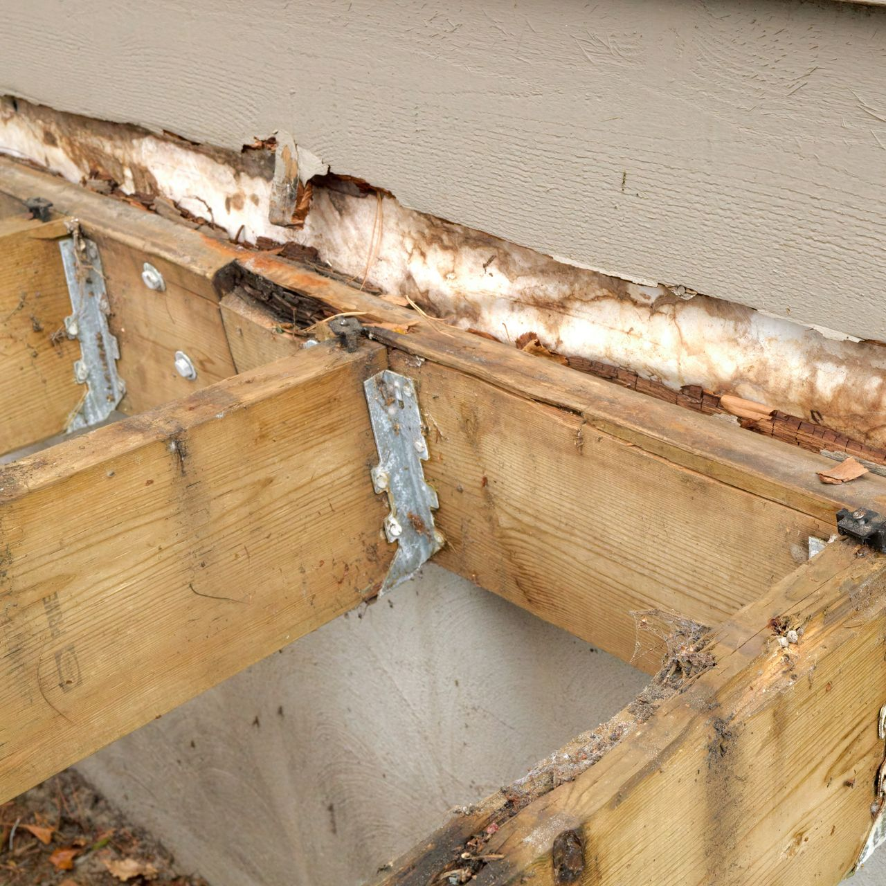 Structure de terrasse en bois endommagée par la pourriture.
