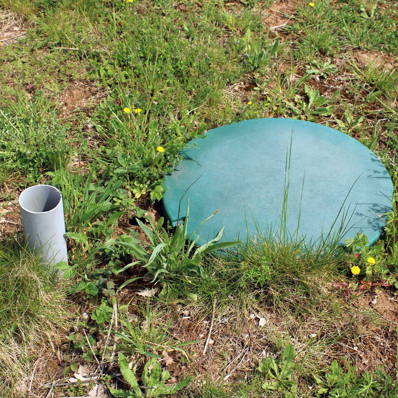 Couvercle de fosse septique verte et tuyau d'aération dans un jardin.