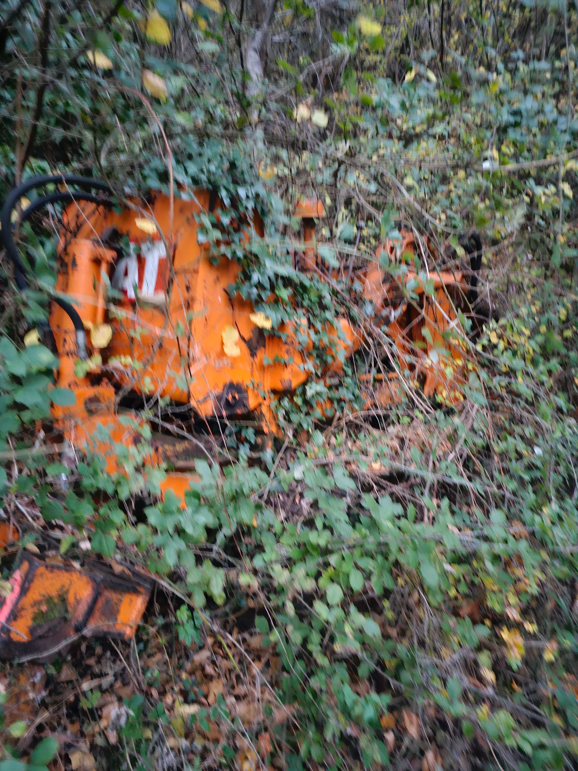 Élagage d'un bas-côté de forêt