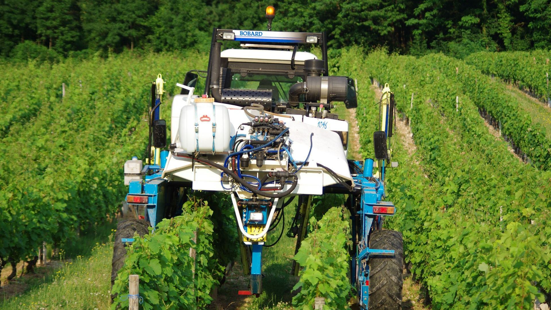 Machine pour l'entretien des vignes