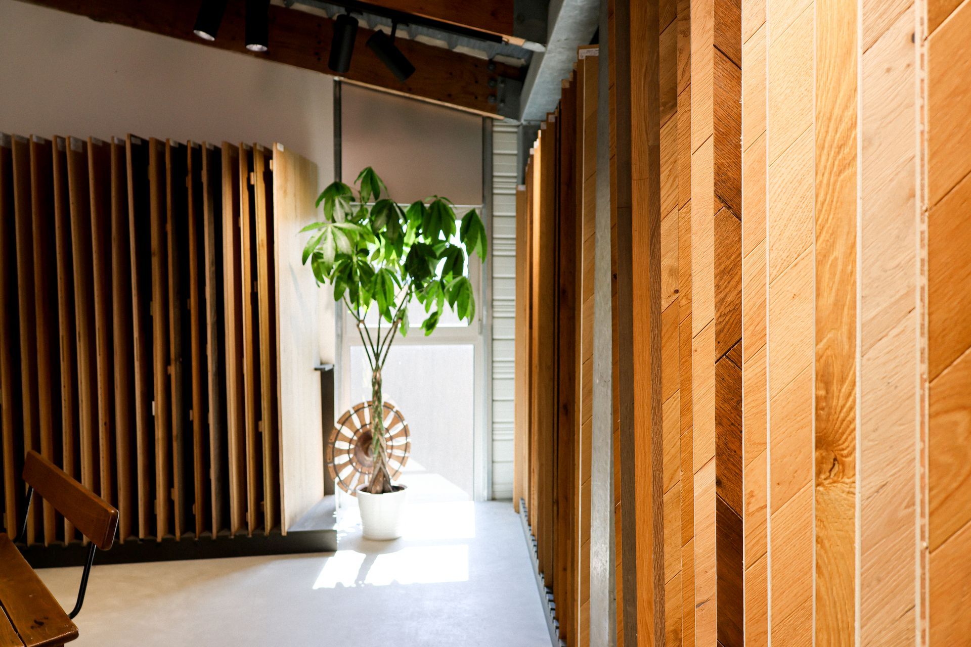 Couloir moderne avec des panneaux muraux en bois, une plante en pot et la lumière du soleil qui entre par une fenêtre
