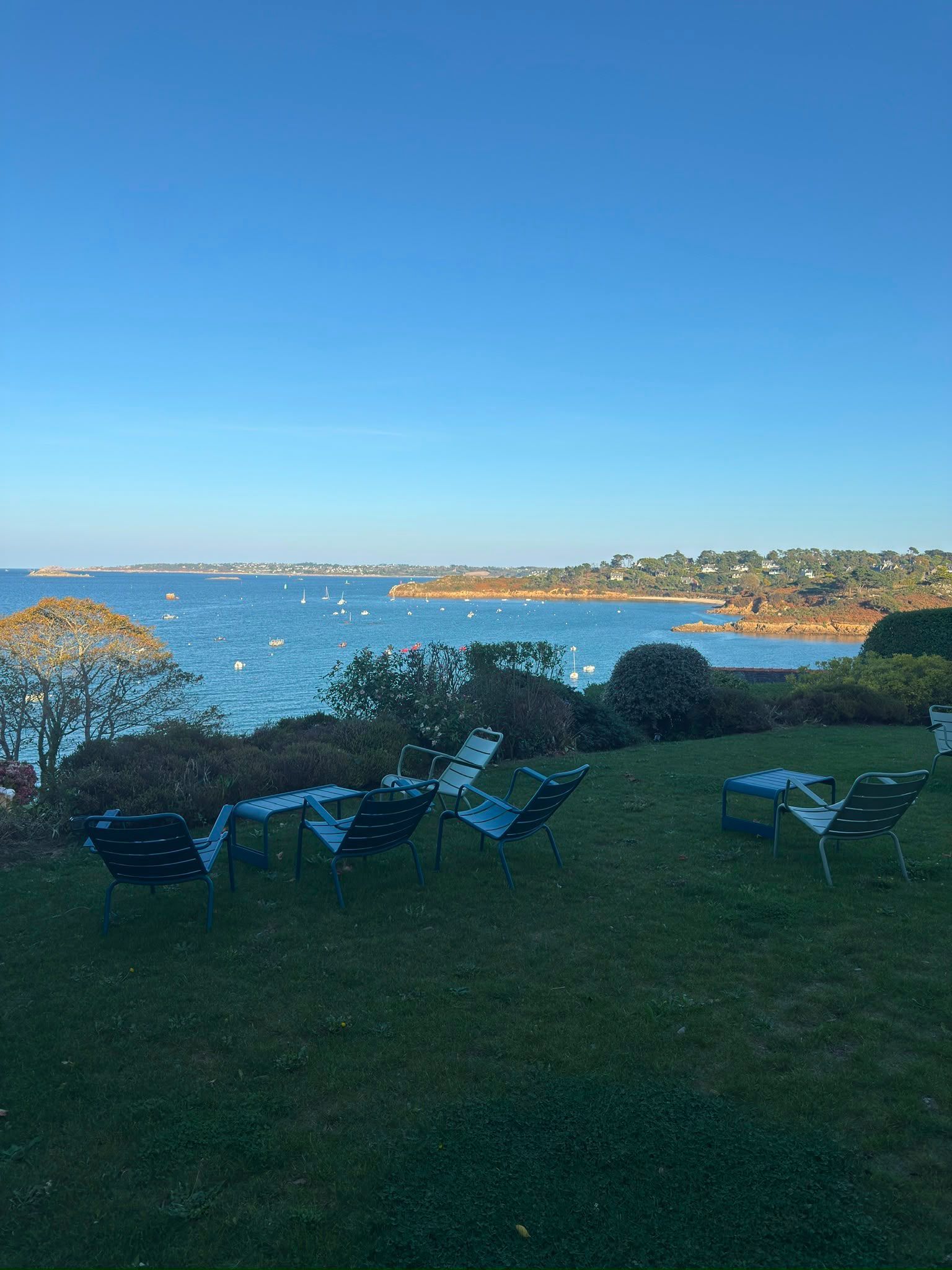 Pelouse verdoyante en bord de mer, avec des chaises longues bleues donnant sur une baie paisible sous un ciel bleu dégagé