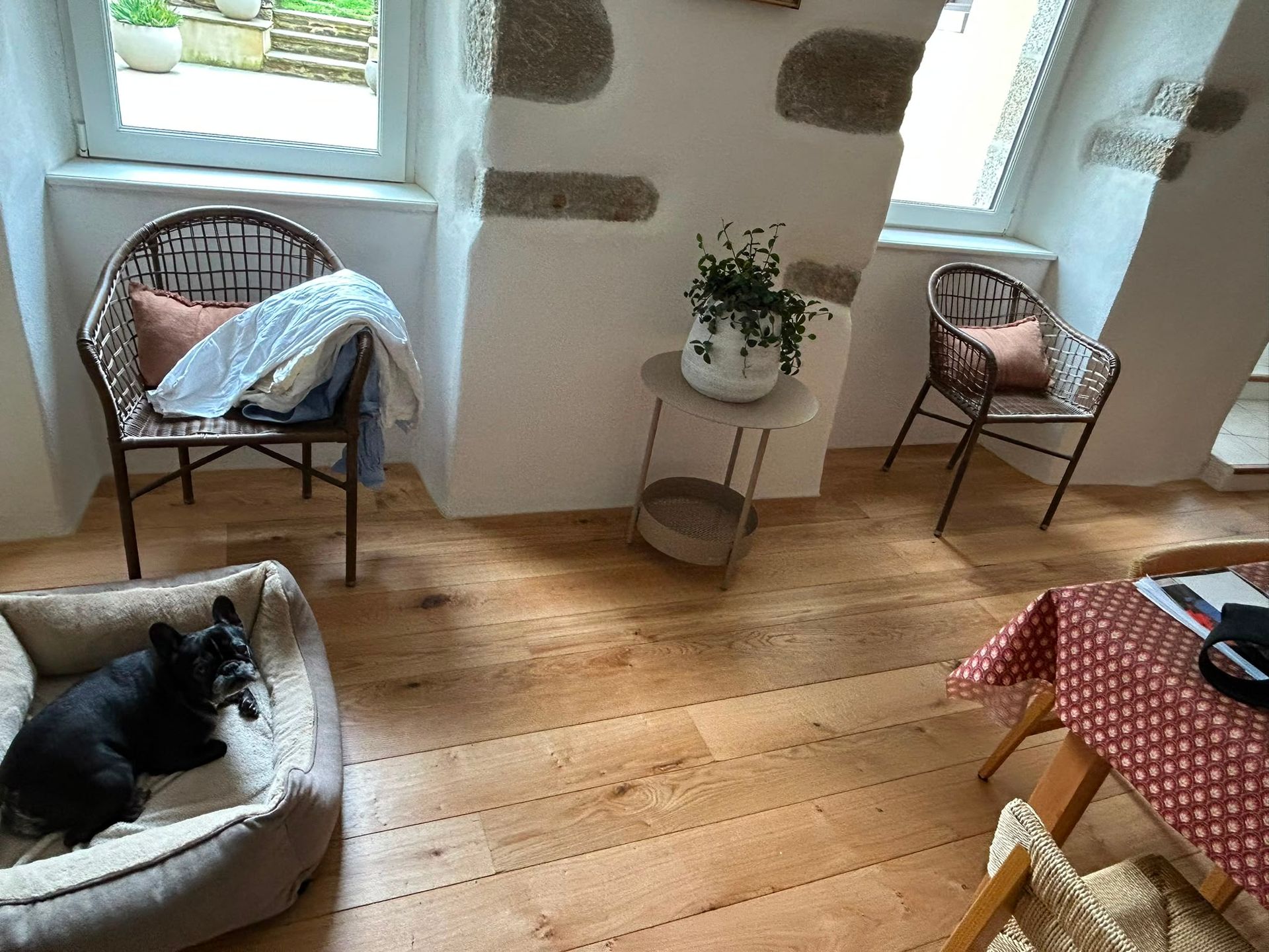 Pièce chaleureuse avec deux fauteuils en osier, un panier pour chien