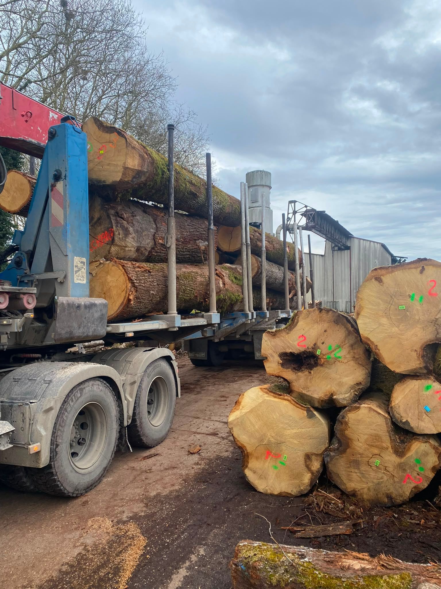 Camion grumier chargé de grumes coupées, garé au bord d’une route boueuse, à côté de piles de grumes empilées