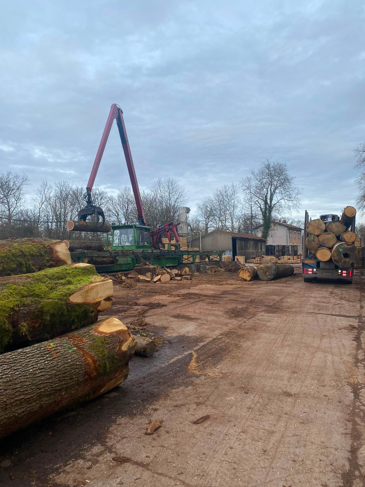 Parc à grumes, avec une grue soulevant des troncs près de piles de bois, sous un ciel nuageux