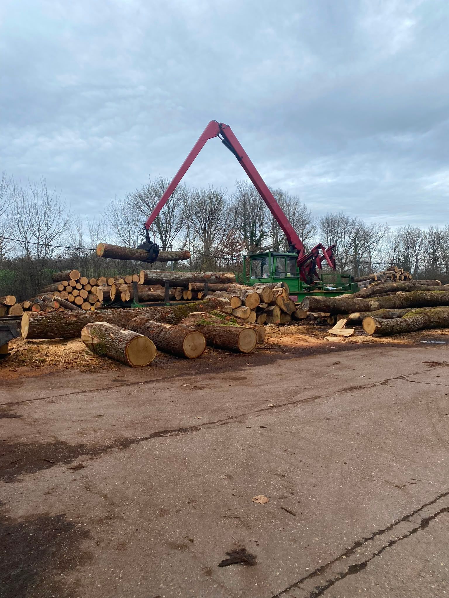 Chargeuse rouge à grumes, bras levé, près de piles de bois coupé dans une cour à bois boueuse sous un ciel couvert