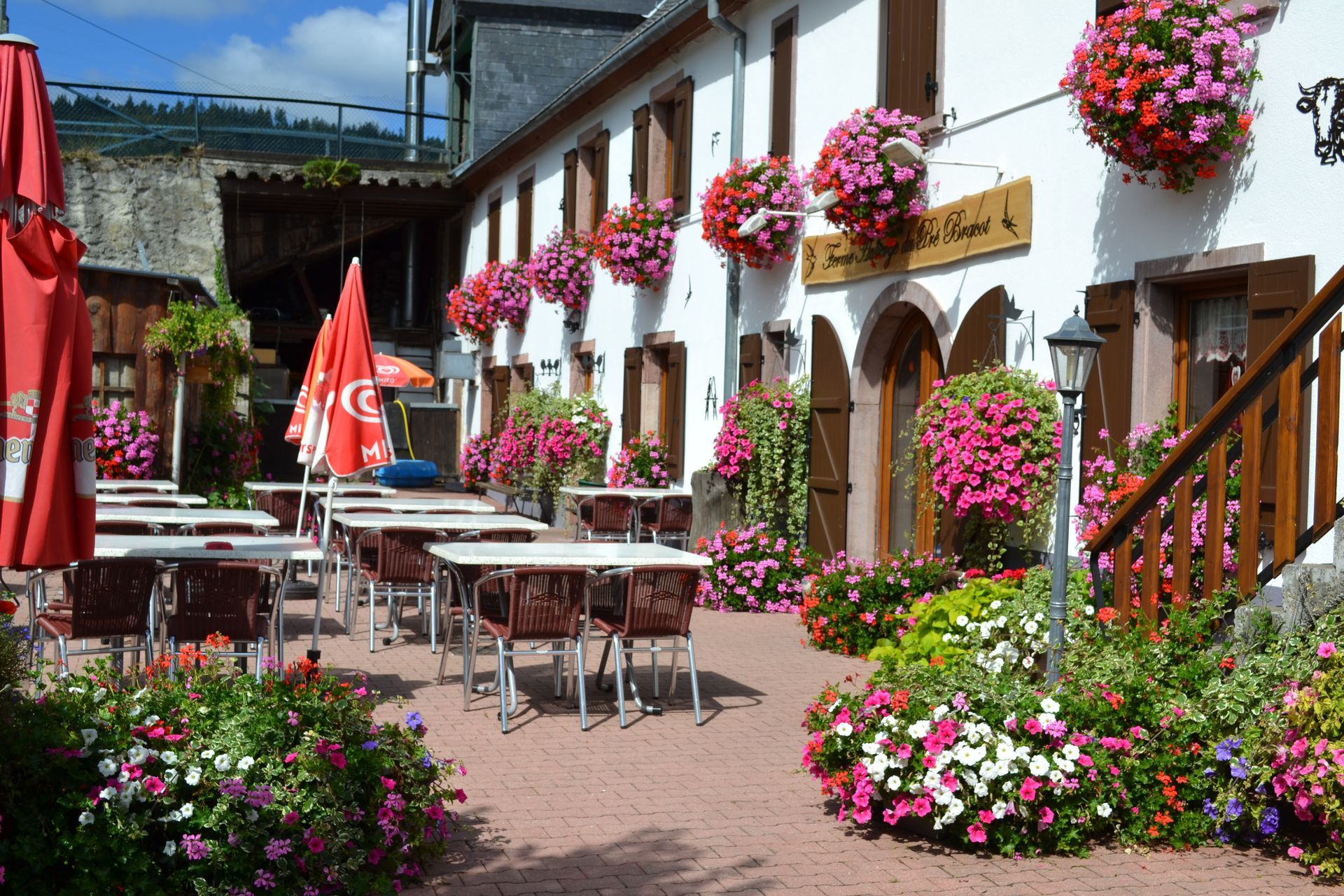 Terrasse du restaurant