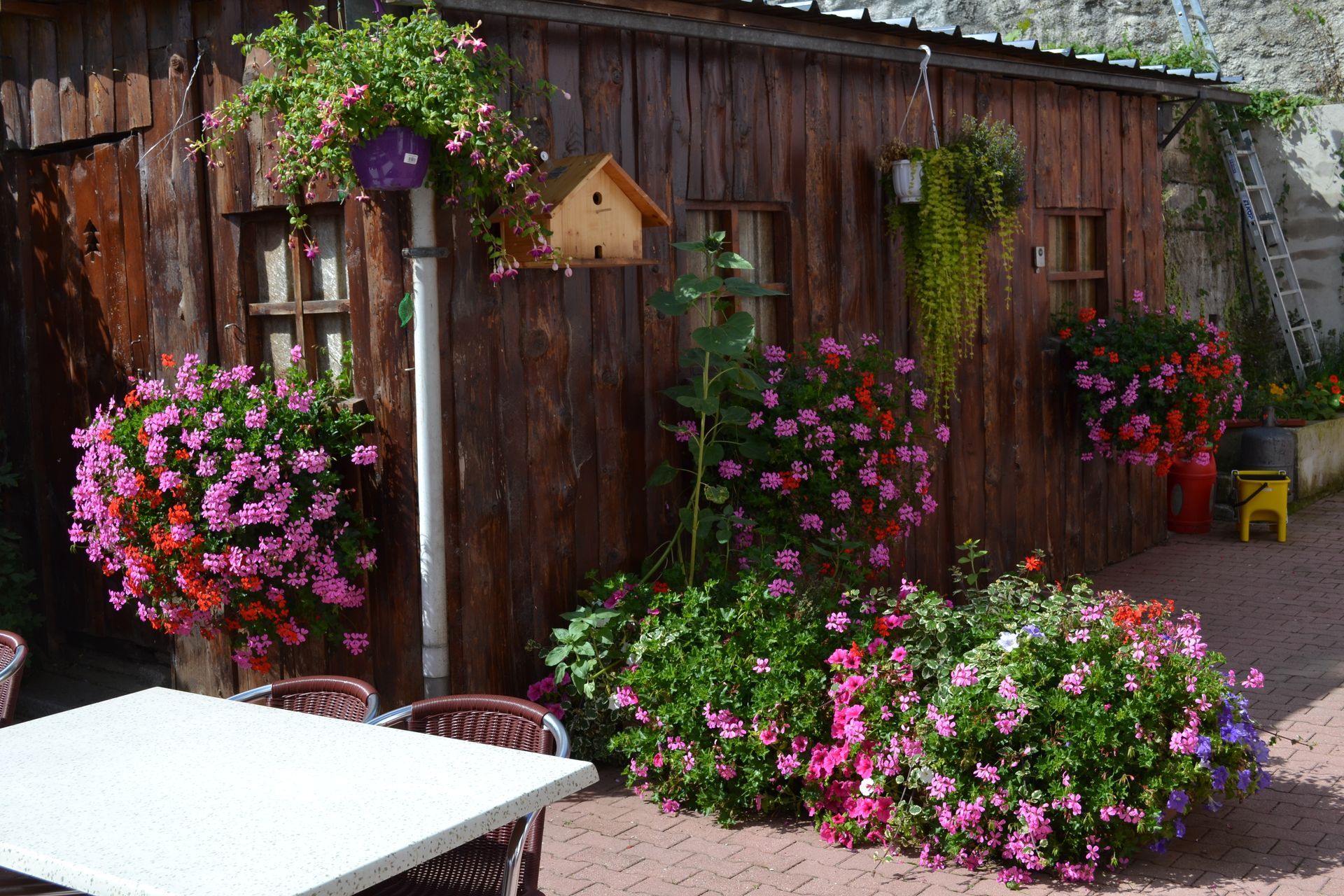 Le restaurant et sa terrasse
