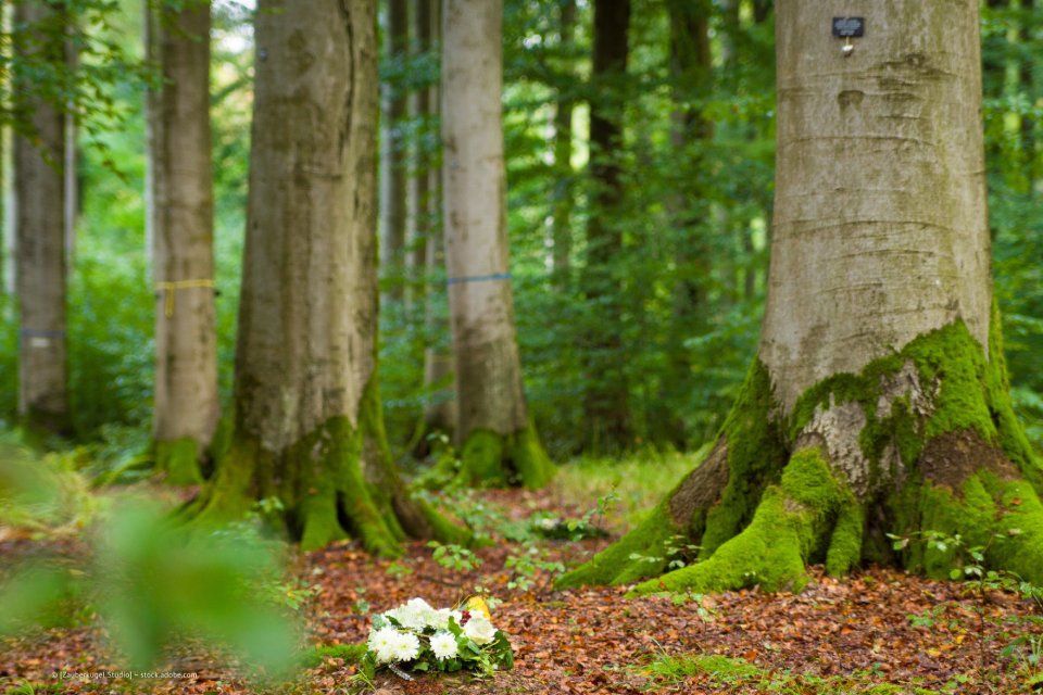 Trauerkranz im Waldfriedhof