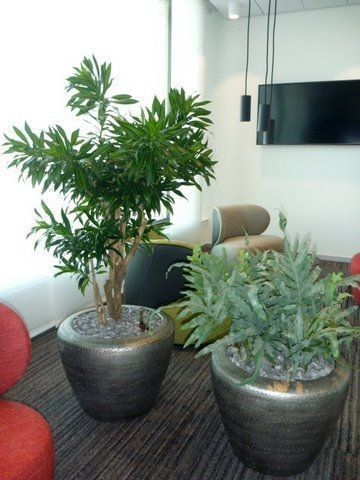 Eine silberne Vase mit weißen Blumen in einem Geschäft